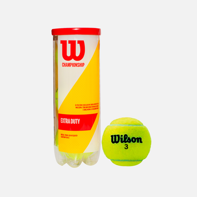 imagem 2024 11 13t091431 327